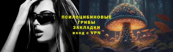гидра Нязепетровск