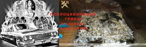 прущие грибы Баксан