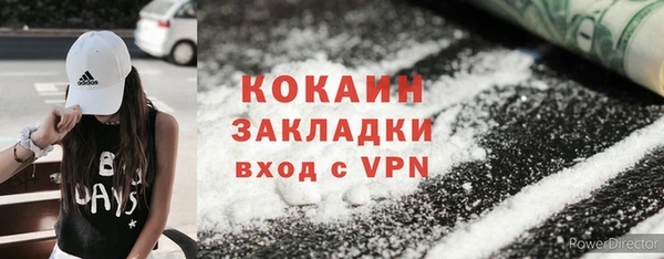 прущие грибы Баксан