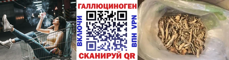 Галлюциногенные грибы Psilocybine cubensis  Лаишево 